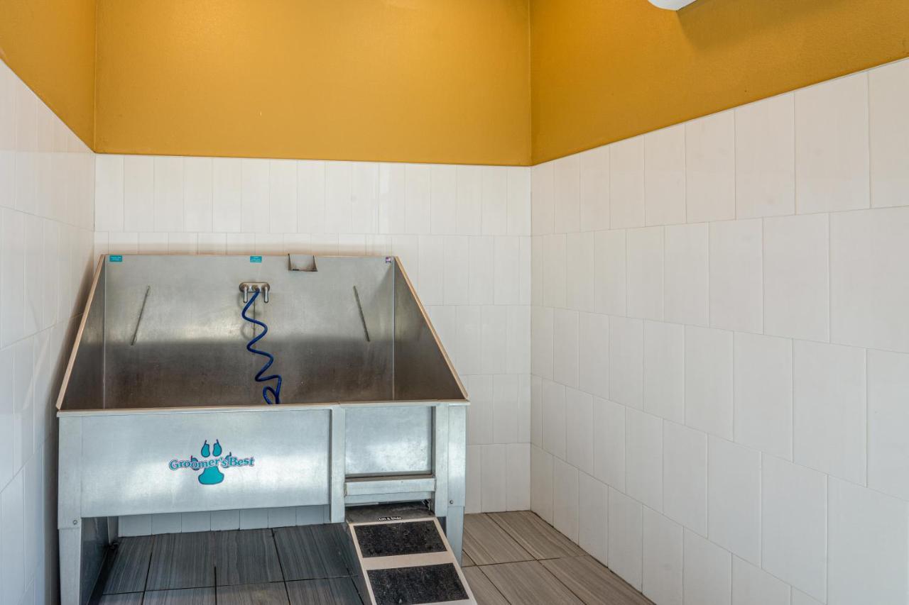 Luxe 3B/2B Getaway - Pool, Gym, Parking, Pet Wash Apartment Leander Ngoại thất bức ảnh